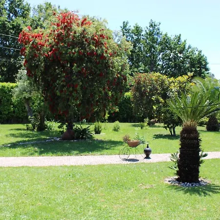 Guest house The Oak's Wolf-country House Fafe