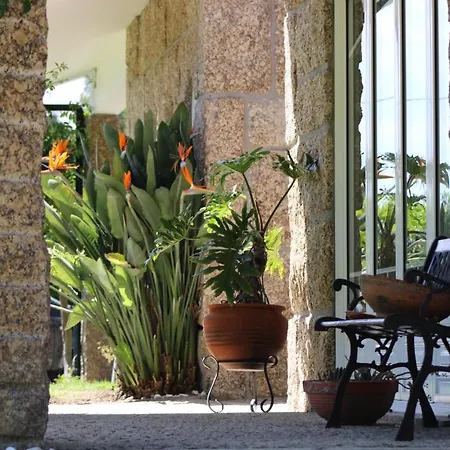 The Oak's Wolf-country House בית הארחה 4*