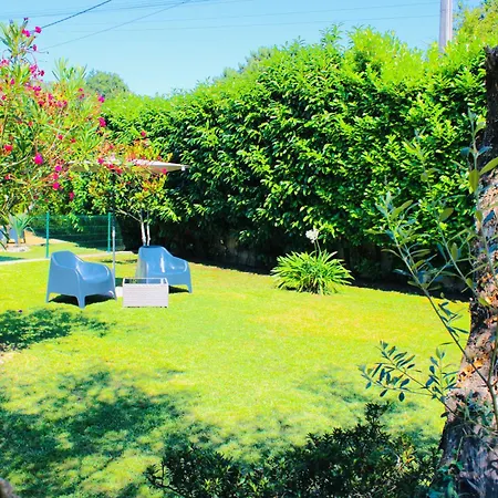 The Oak's Wolf-country House Guest house Fafe