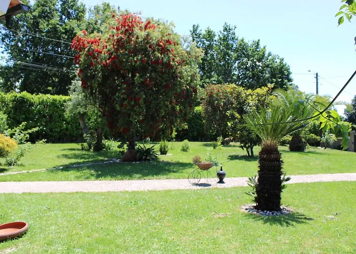 Pensión The Oak's Wolf-country House Fafe