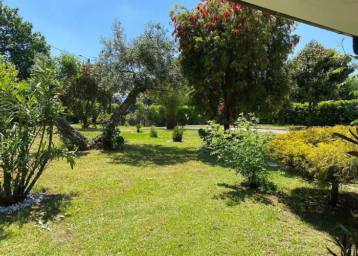 Pensión The Oak's Wolf-country House Fafe